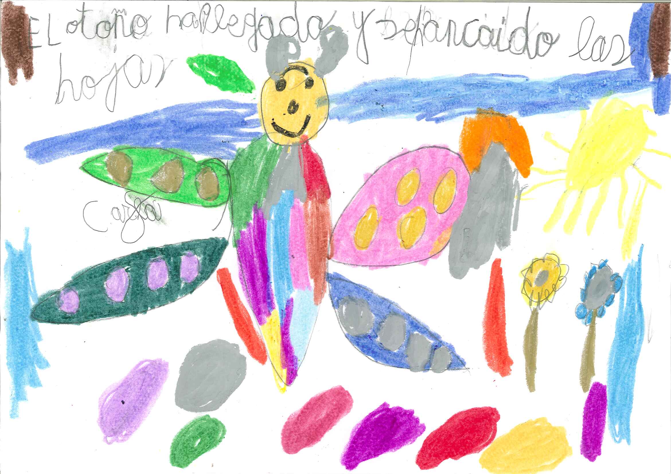 mariposa_Carla.jpg